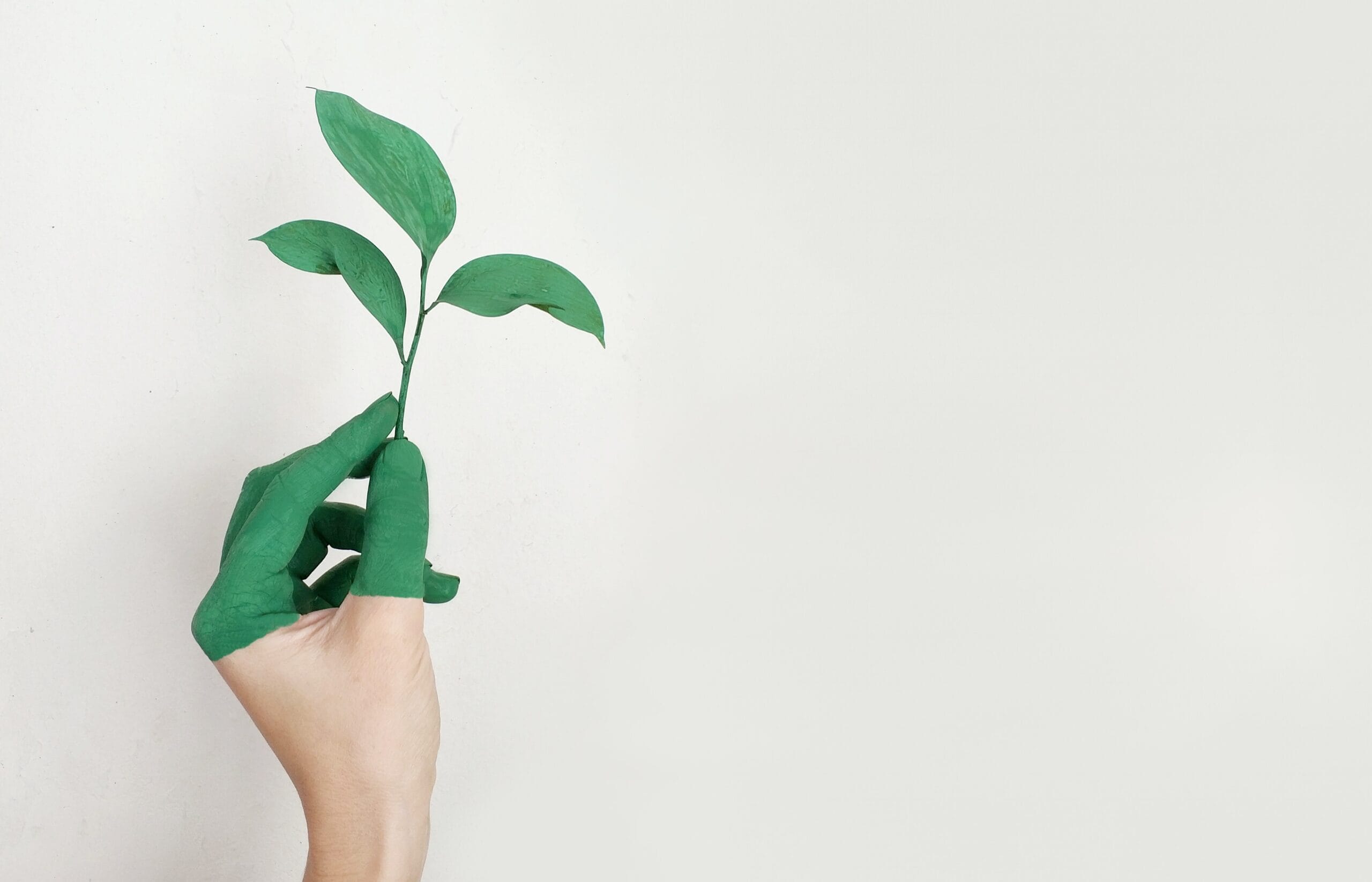 growth fixed mindset